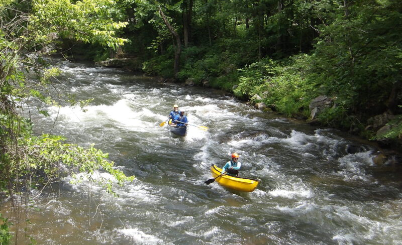 KODAK Digital Still Camera